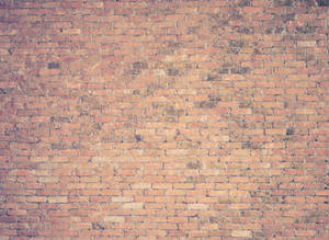 Massive Brown Bricks Wallpaper