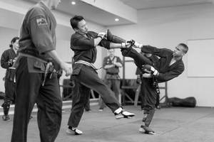 Master And Student Engaged In Wing Chun Training Wallpaper