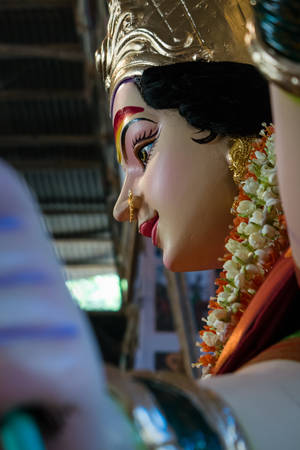 Mata Rani Side-profile Wallpaper