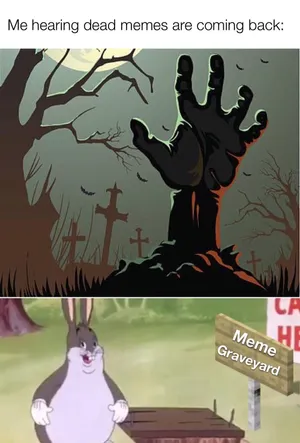 Me Hearing Dead Memes Are Coming Back Memes Wallpaper