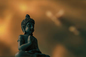 Meditating Buddha Focused Photography Wallpaper