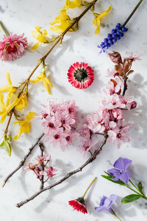 Medley Of Colorful Flowers Wallpaper
