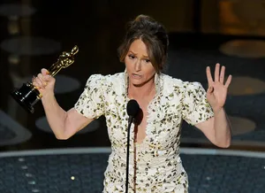 Melissa Leo Oscars Awards Speech Wallpaper