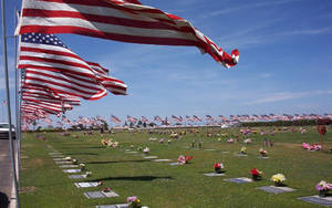 Memorial Day Flags At Cemetery Wallpaper