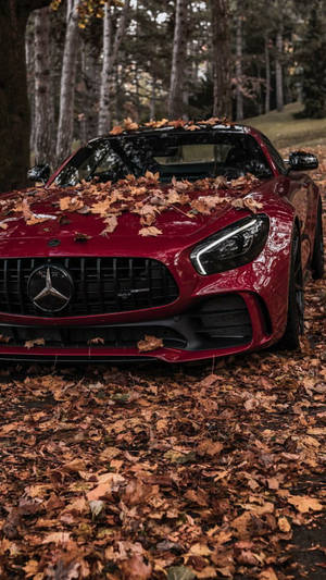 Mercedes Amg Autumn Iphone Wallpaper