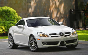 Mercedes Benz White 2010 Slk Class Wallpaper