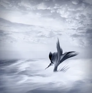 Mermaid Tail Clouds Art Wallpaper