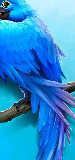 Mesmerizing Blue Bird Punch Hole 4k Wallpaper Wallpaper