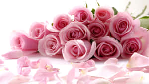 Mesmerizing Pink Garden Rose Bouquet Wallpaper