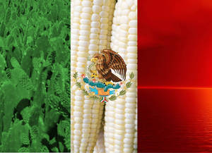 Mexican Flag Colors And Logo Wallpaper