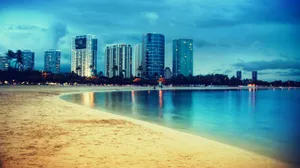 Miami City On The Beach View Wallpaper