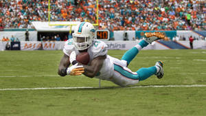 Miami Dolphins In Action Wallpaper