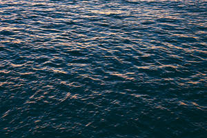 Microsoft Surface Calm Ocean Wallpaper