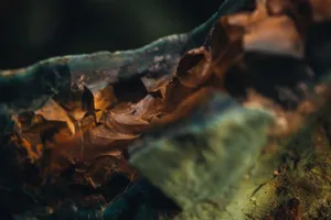 Microsoft Surface Stone Texture Wallpaper