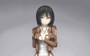 Mikasa Ackerman Attack On Titan Wallpaper