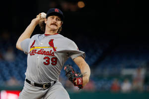 Miles Mikolas About To Throw Baseball Wallpaper