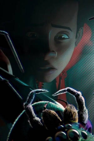 Miles Morales Looking At Spider Wallpaper