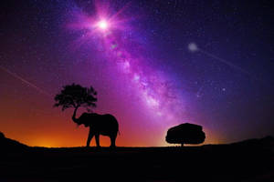 Milky Way Galaxy Elephant Wallpaper