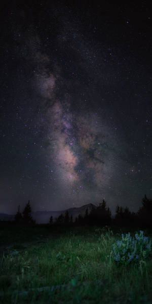 Milky Way Sky Oled Iphone Wallpaper