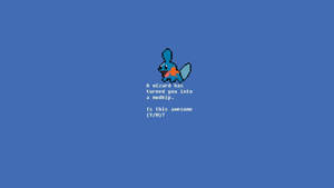 Mini Mudkip And Statement Wallpaper