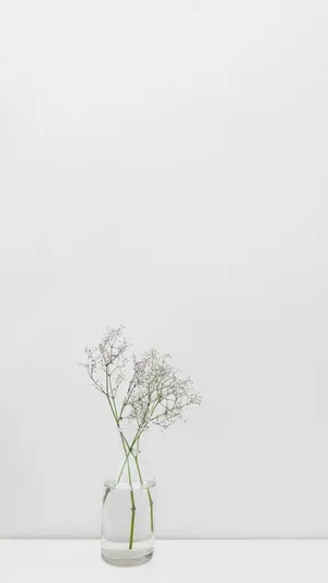 Minimal White Jar Wallpaper