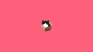 Minimalist Aesthetic Fat Cat On Box Wallpaper