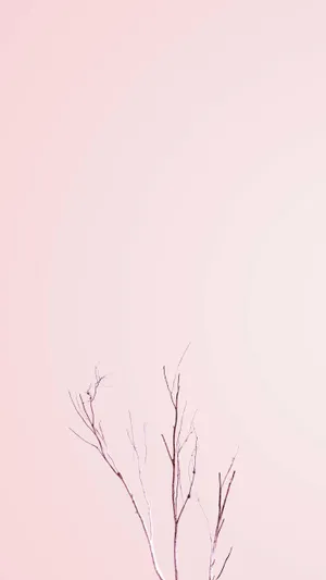 Minimalist Aesthetic Pink Tree Branches Wallpaper
