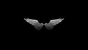 Minimalist Bird Wings Wallpaper