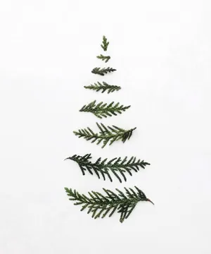 Minimalist Christmas Desktop 1000 X 1200 Wallpaper