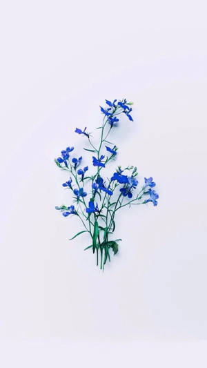 Minimalist Flowers Aesthetic Wallpaper