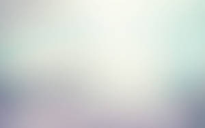 Minimalist Gray Gradient Wallpaper