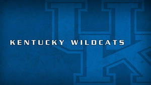 Minimalist Kentucky Wildcats Wallpaper