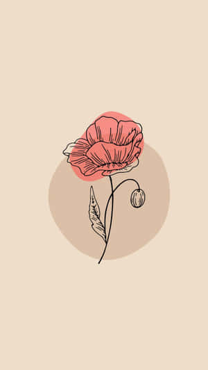 Minimalist Poppy Flower Illustration Wallpaper
