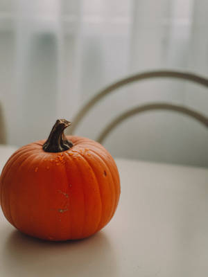 Minimalist Pumpkin Aesthetic Photography Wallpaper