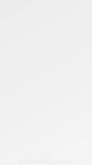 Minimalistic Light Gray Texture Wallpaper