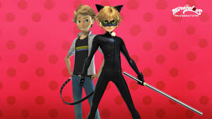 Miraculous Ladybug Cat Noir Wallpaper