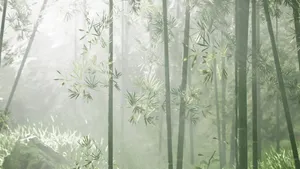 Misty_ Bamboo_ Forest_ Serenity.jpg Wallpaper
