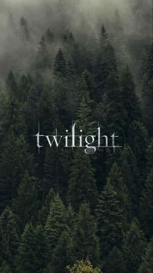 Misty_ Forest_ Twilight_ Wallpaper Wallpaper