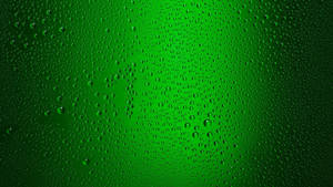 Misty Plain Green Wallpaper