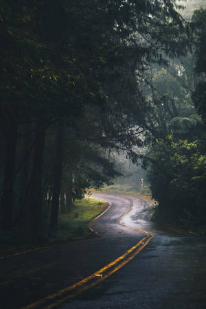 Mobile 4k Nature Road Wallpaper