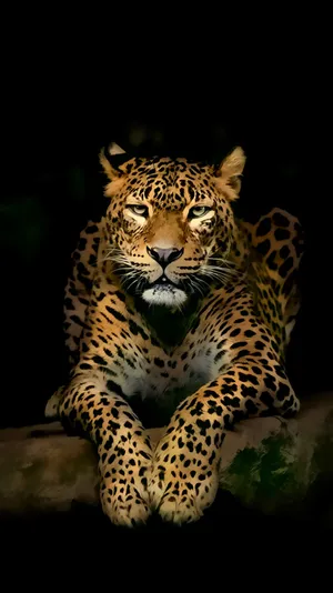 Mobile 4k Tiger Wallpaper