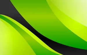 Modern Green Abstract Artwork Wallpaper