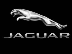 Modern Luxury: The Jaguar Logo Wallpaper