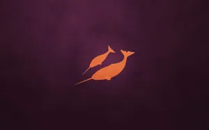 Mommy And Baby Narwhal Wallpaper