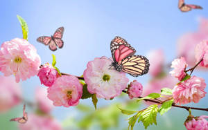 Momo Spring Flower Poster Wallpaper