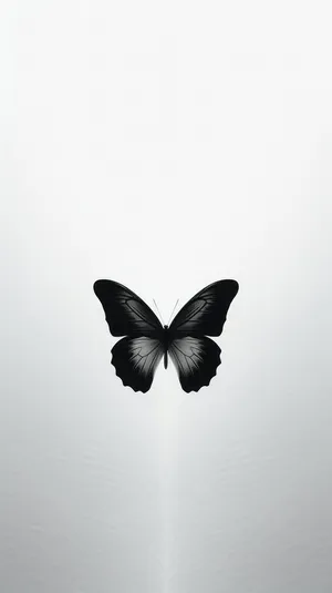 Monochrome Butterfly Silhouette Wallpaper