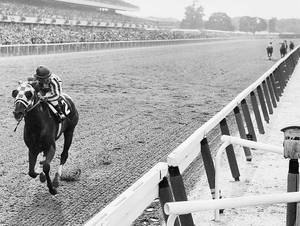 Monochrome Magic - The Legendary Secretariat Wallpaper