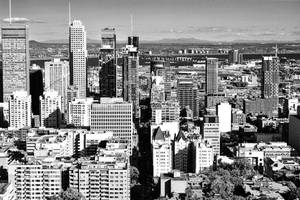 Monochrome Montreal City Wallpaper