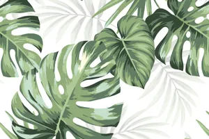 Monstera Leaves Tropical Digital Painting Wallpaper