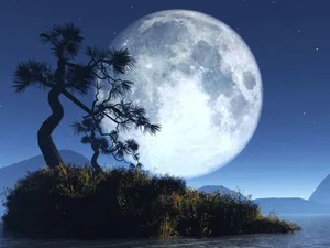Moon 1024 X 768 Wallpaper